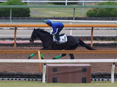 ジャスティンパレス、天皇賞春2週前追い切り速報栗東トレセンニュース ライブドアニュース