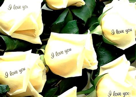 Что подарить женщине на 55 лет