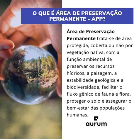 Áreas de Preservação Permanente o que é e o que diz a lei