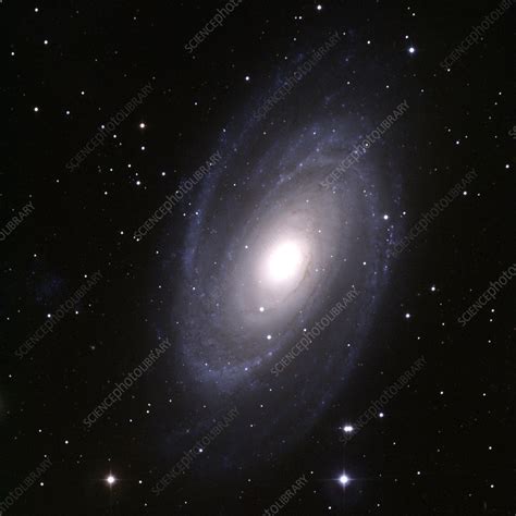 Spiral Galaxy M81 Stock Image R856 0051 Science Photo Library