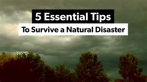 5 Essential Tips To Survive A Natural Disaster Youtube