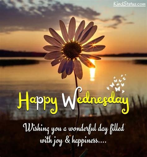 500 Happy Wednesday Images Pictures Photos Happy Wednesday Images