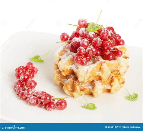 Belgian Waffles With Berries Stock Image Image Of Healthy Currant