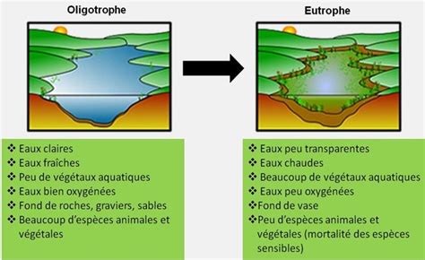 écosystème aquatique pdf