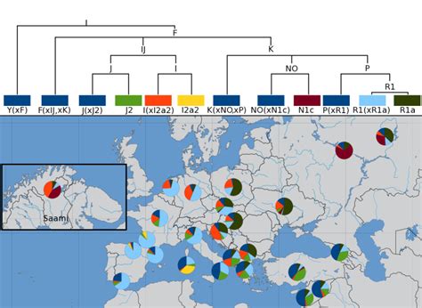 The Y Chromosome Ancestry Genetics And The Making Of A Man