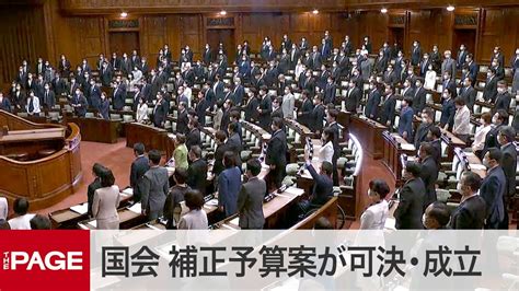 【国会中継】参院本会議 補正予算案が可決・成立 一律10万円支給策など盛る（2020年4月30日） Youtube