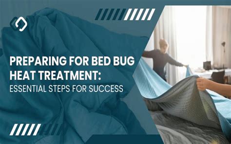 Preparing For Bed Bug Heat Treatment Essential Steps For Success