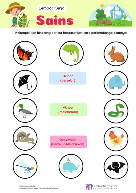 Lkpd Ipa Perkembangbiakan Hewan Worksheet Riset