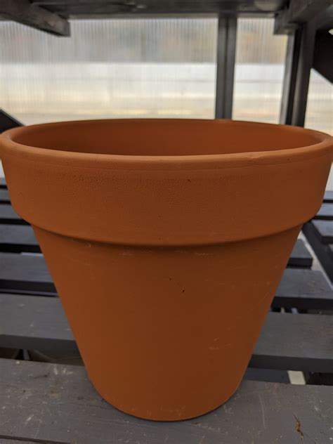 Burley Clay Pot 10 Inch Wilsons Garden Center