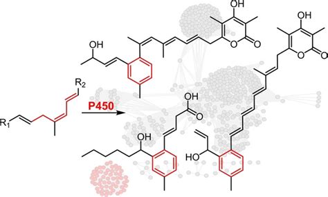 Cytochrome P450 Catalyzes Benzene Ring Formation In The Biosynthesis Of