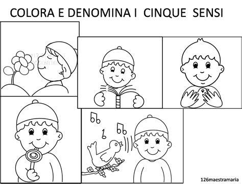 I Cinque Sensi Senso Scienza Per Bambini Le Idee Della Scuola