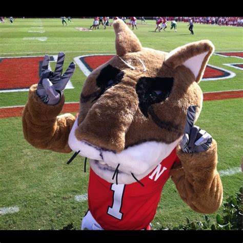 55 best images about College Mascots: American (AAC) on Pinterest