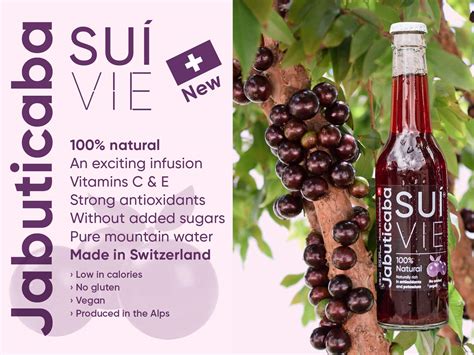 Suivie Jabuticaba Soft Drink Ml Made With Jabuticaba Swiss Apples