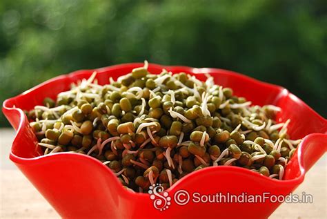 Sprouted Green Gram Pesarattu Dosa Mulaikattiya Payaru Dosai How To