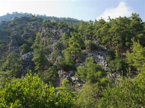 Antalya Goynuk Canyon Beautiful Mountain With Trees In National