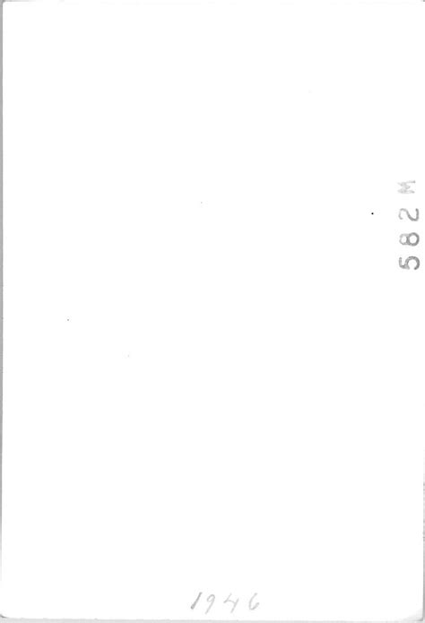 Hot Young Woman Next to Bicycle Risqué Snapshot Americana 1940s Vintage Photo eBay