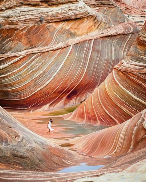 The Wave Arizona Marble Canyon The Wave Arizona Canyon