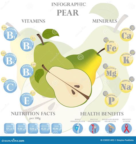 Pear Nutrition Facts And Health Benefits Infographic Stock Vector