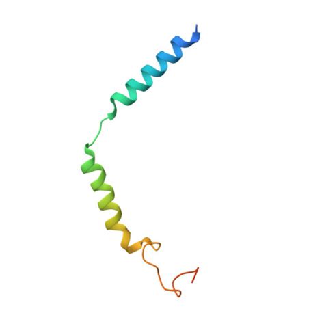 Rcsb Pdb 8irv Dopamine Receptor D5r Gs Rotigotine Complex