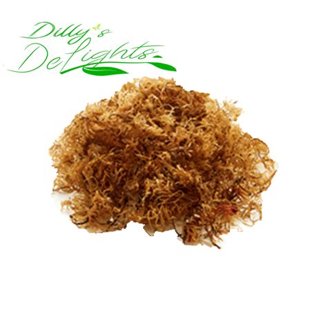 1oz Jamaican Raw Irish Sea Moss Ocean Grown And Sourced Weighed Wet