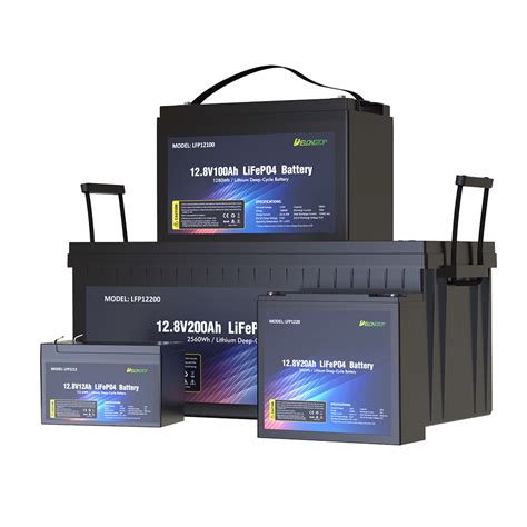 Complete Guide To Understanding Lifepo Battery Delong Energy