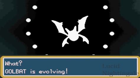 Pokemon Fire Red Zubat Evolves To Golbat And To Crobat YouTube