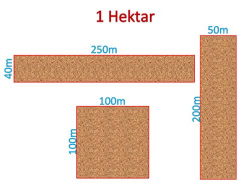 Satuan luas HEKTAR dan perhitungannya | Edu-Paperplane
