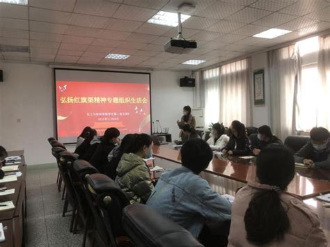 我院学生第二党支部召开“深入学习习近平总书记视察安阳重要讲话精神，大力弘扬红旗渠精神”专题组织生活会 化工与材料学院