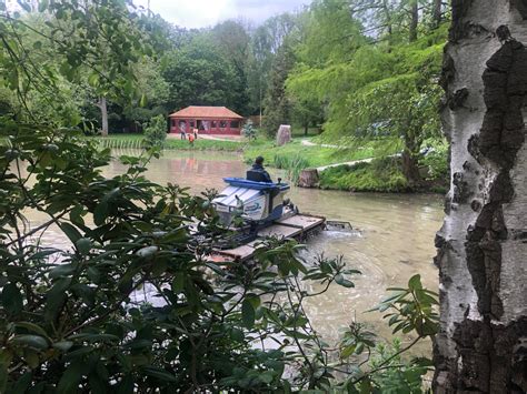 Invasive aquatic plants - understand new government ban | Aquatic Solutions