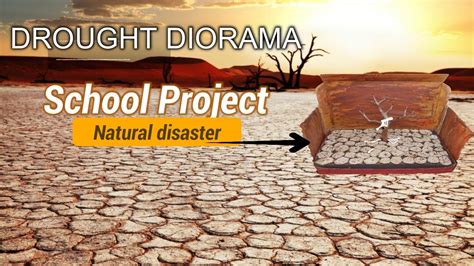 How To Make A Diorama Diorama Projects Diorama Theme Ideas