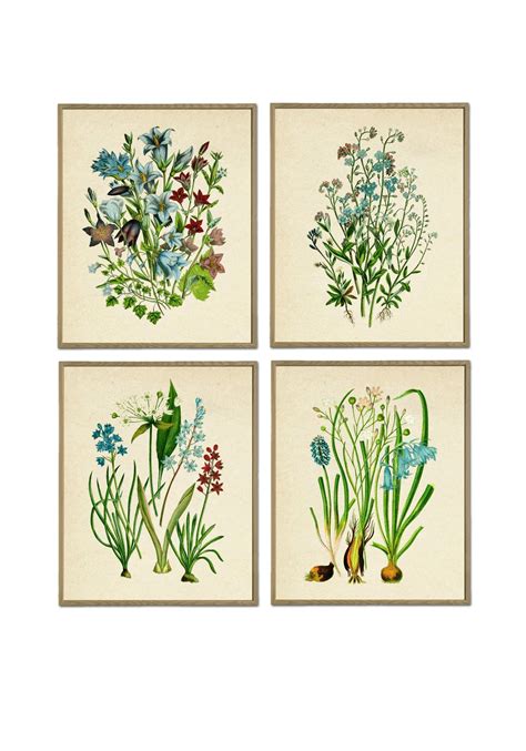 Blue Flowers Print Set Of 4 Botanical Wall Decor Flower Wall Art