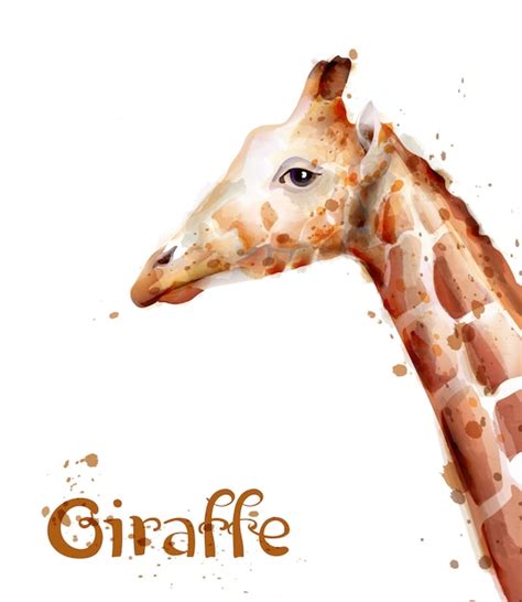 Aquarela De Girafa Vetor Premium