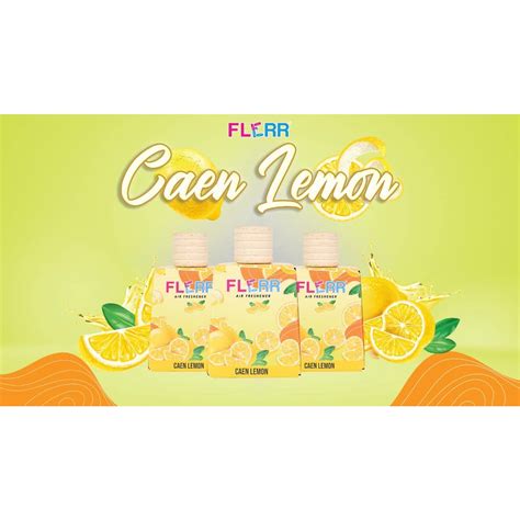 Fleur Flerr Car Perfume Air Freshener Proton Perodua Perfume Viral