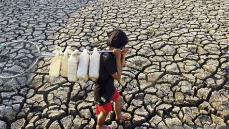 Waspada Ancaman Kekeringan Di Ntt Berlangsung Hingga Akhir Oktober