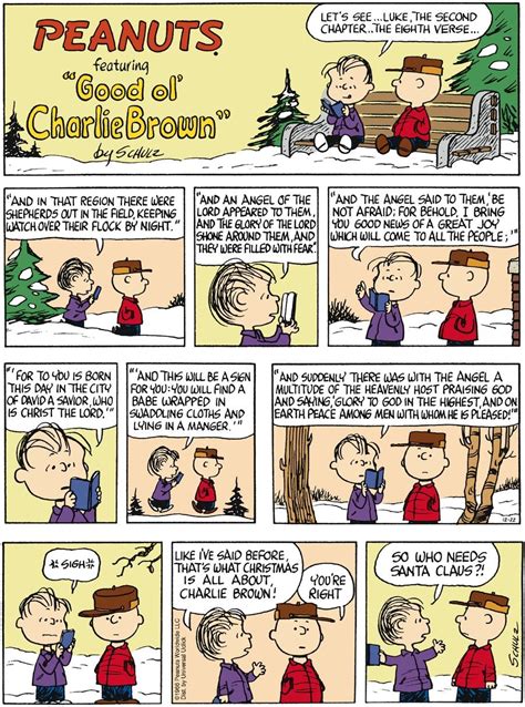 Peanuts By Charles Schulz For December 22 2013