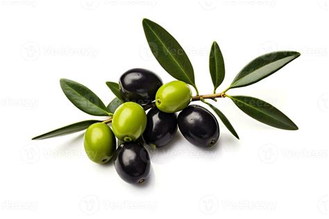 Olive Fruit Isolated On White Background Ai Generated Stock