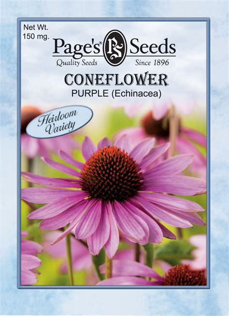 Purple Coneflower | The Page Seed Company, Inc