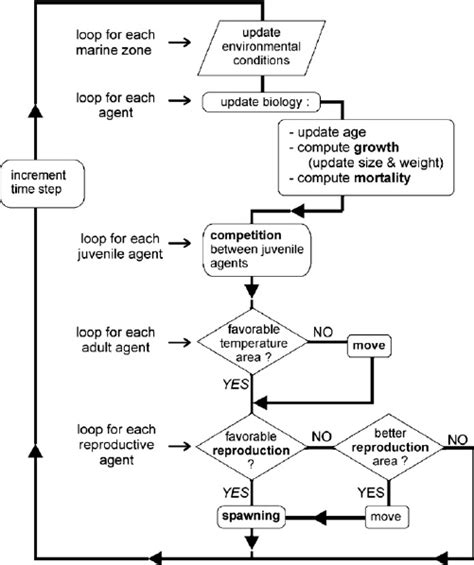 Simplified Flowchart Of The Processes Involved In The Model Each Step Download Scientific