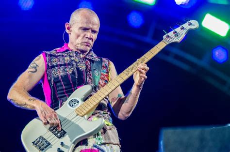 Flea bajista de los Red Hot Chilli Pepers aparecerá en la nueva cinta del creador de La La