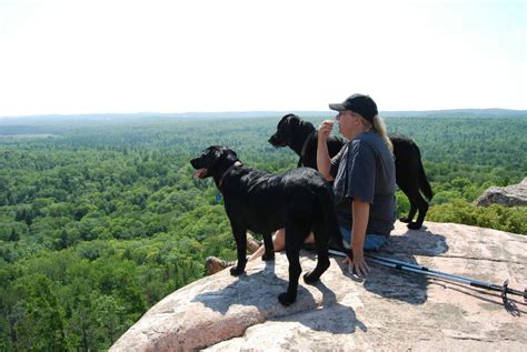 hogback mountain  guided nature tours