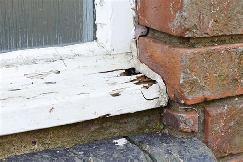 Housing Disrepair Claims | Windows & Doors Complaints | No Win No Fee