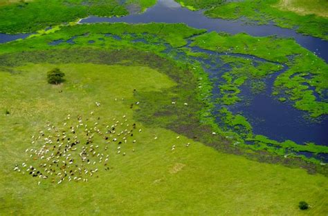 Sudd Wetland – South Sudan - Atlas Obscura