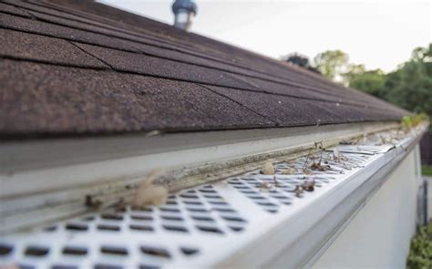 Best Gutter Guards For Pine Needles Winter Reviews Guide