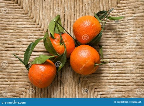 Clementines With Leaves Stock Photo Image Of Healthy 103358066