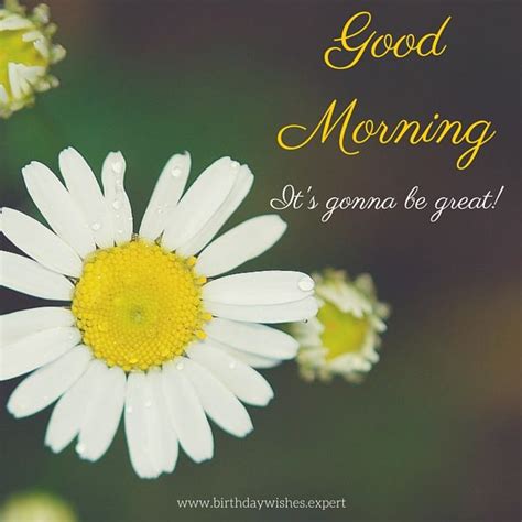 Good Morning Images Pictures, Photos, and Images for Facebook, Tumblr ...