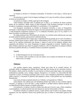 Aparato Respiratorio PDF Descarga Gratuita