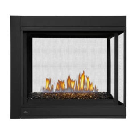 Napoleon Ascent™ Multi View Direct Vent Gas Fireplace Creekside Hearth