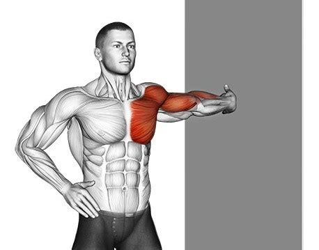 Chest Stretch Exercise OFF 72