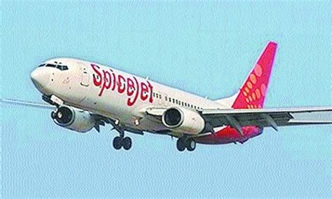 Many Spicejet Flights Delayed Cancelled After Ransomware Attack The