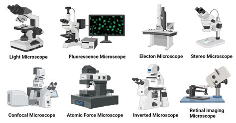 4 Types Of Microscopes And Their Functions Micropedia Images